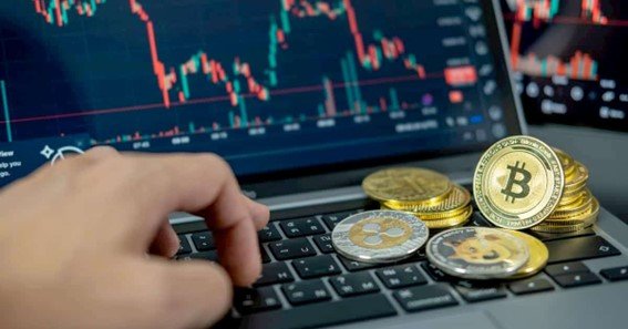 best hosting platforms for cryptocurrency websites