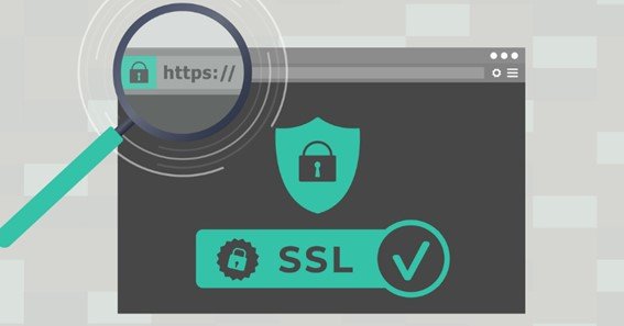 what is an SSL certificate and why do I need it